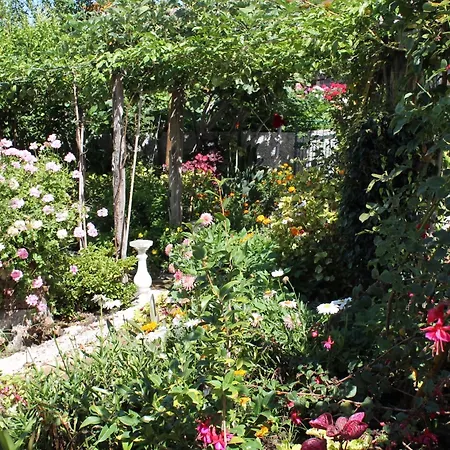 Villa Dinis Country By Ourmadeira *